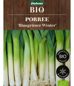 Dehner Bio Gemüsesamen - -Saatgut Porree 'Blaugrüner Winter'