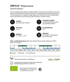 Dehner Bio Gemüsesamen - -Saatgut Spinat 'Winterriesen'