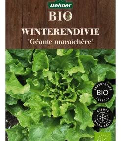 Dehner Bio Gemüsesamen - -Saatgut Winterendivie 'Géante maraîchère'