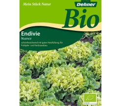 Dehner Bio Gemüsesamen - -Samen Endivien 'Nuance'