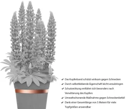 Dehner Bio Schädlingsbekämpfungsmittel > Schneckenband Kupfer, ca. L5 m