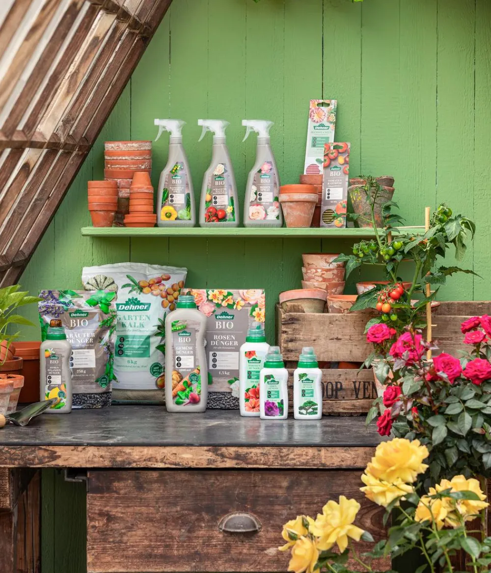 Dehner Bio Zitruspflanzen-Dünger, flüssig, 500 ml Discount