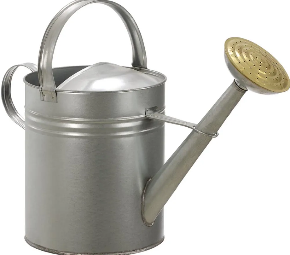 Dehner Blechgießkanne, Silber Best