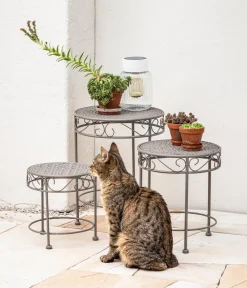 Dehner Blumenhocker > Blumenhocker Luca