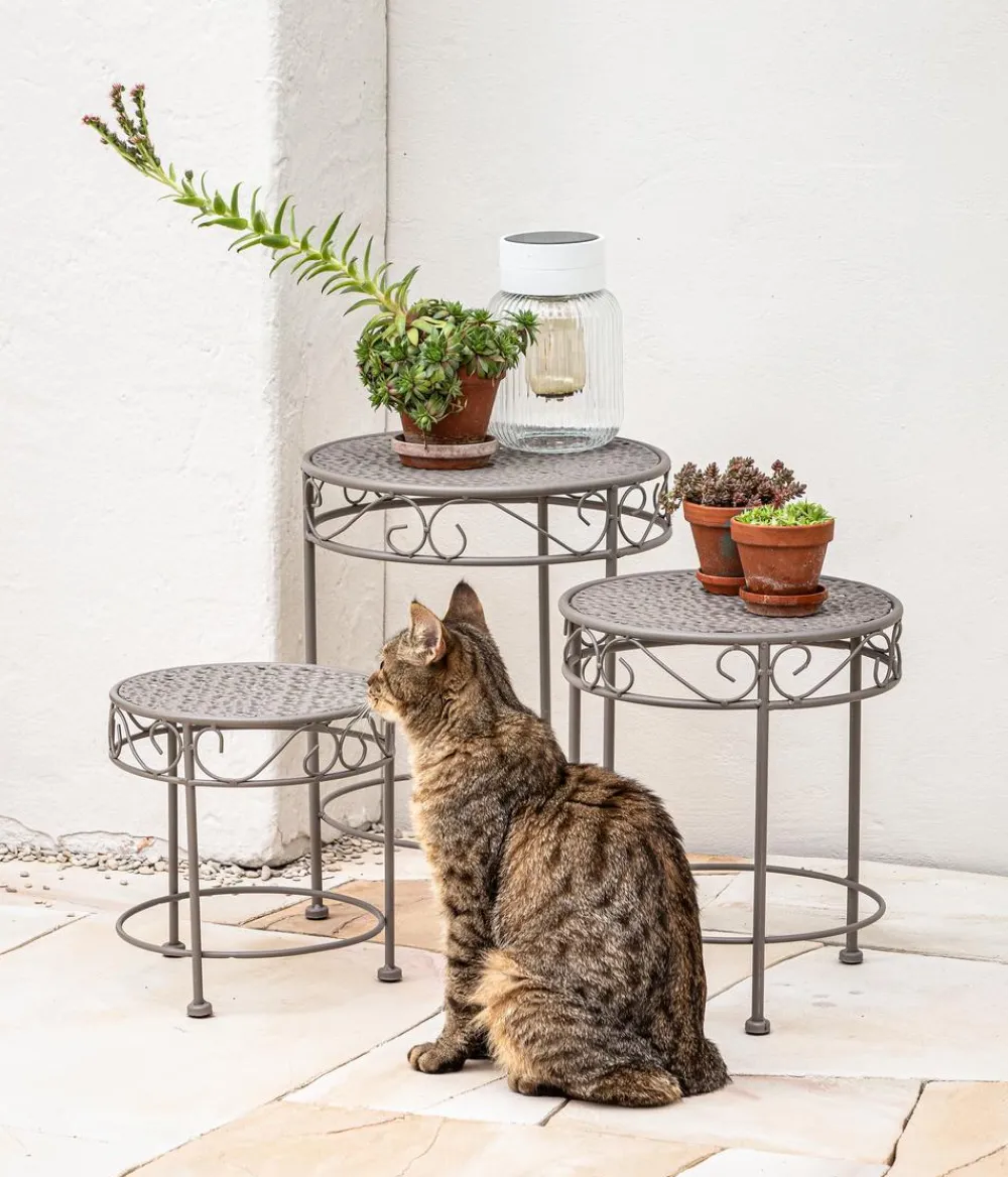 Dehner Blumenhocker Luca Taupe Hot