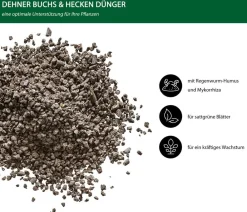 Dehner Spezialdünger > Buchs- und Hecken-Dünger, 2 kg