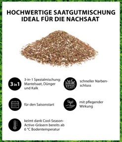 Dehner Rasensamen - Frühjahrsrasen-Nachsaat, 750 g