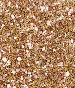 Dehner Rasensamen - Frühjahrsrasen-Nachsaat, 750 g