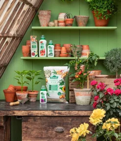 Dehner Universaldünger > Gartenkalk