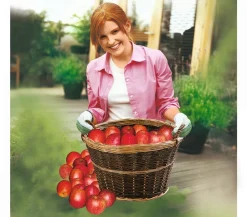 Dehner Mehr Gartendekoration - Gartenkorb
