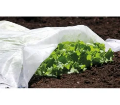 Dehner Pflanzenfolien & Ernteschutz > Gartenvlies, ca. L10 m/B150 cm