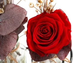 Dehner Konservierte Rosen - Glas-Arrangement mit Longlife-Rose Duo Valentin, , ca. B16/H40/T10 cm Rot