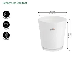 Dehner Orchideentöpfe > Glas-Übertopf, konisch, ca. Ø12 cm