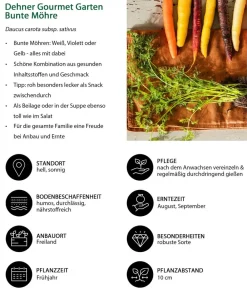 Dehner Gourmet Garten Gartengemüse > e Möhre, 20er Schale