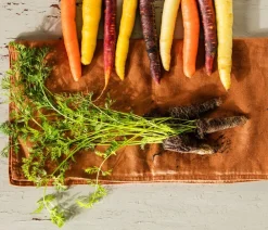 Dehner Gourmet Garten Gartengemüse > e Möhre, 20er Schale