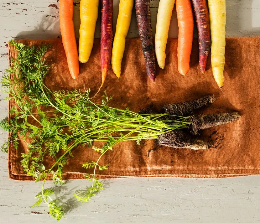 Dehner Gourmet Garten Gartengemüse > e Möhre, 20er Schale