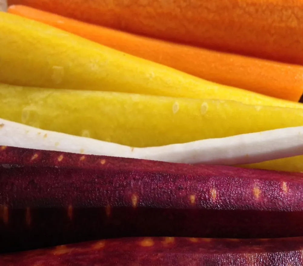 Dehner Gourmet Garten Gartengemüse > e Möhre, 20er Schale