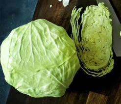Dehner Gourmet Garten Kohl- & Salatpflanzen - Butterkohl, 6er Schale Grün