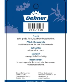 Dehner Gourmet Garten Erdbeerpflanzen > Erdbeere 'Mara des bois'