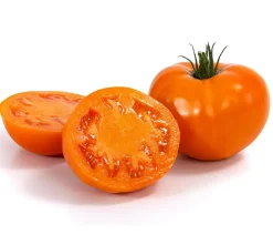Dehner Gourmet Garten Fleischtomate, Orange