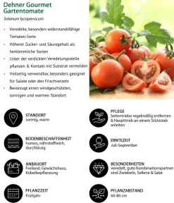 Dehner Gourmet Garten Auberginen- & Tomatenpflanzen|Gemüse-Sets > Gemüse-Set Kleiner Balkon, 3-teilig