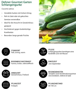 Dehner Gourmet Garten Auberginen- & Tomatenpflanzen|Gemüse-Sets > Gemüse-Set Kleiner Balkon, 3-teilig