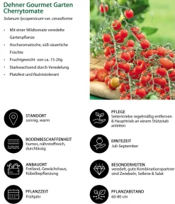 Dehner Gourmet Garten Auberginen- & Tomatenpflanzen|Gemüse-Sets > Gemüse-Set Kleiner Balkon, 3-teilig