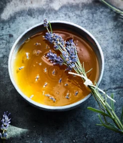 Dehner Gourmet Garten Garten- & Heilkräuter|Gourmet-Kräuter > Gewürzlavendel
