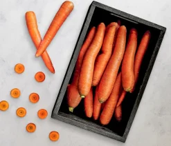 Dehner Gourmet Garten Lange Möhre, 20er Schale Orange Hot