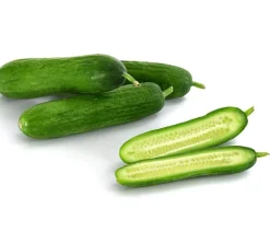 Dehner Gourmet Garten Minigurke, veredelt Grün