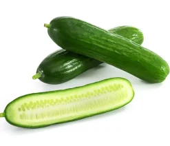 Dehner Gourmet Garten Zucchini- & Gurkenpflanzen > Mini Schlangengurke, veredelt