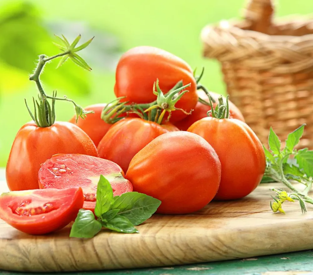 Dehner Gourmet Garten Auberginen- & Tomatenpflanzen - Ochsenherztomate, veredelt Rot