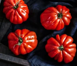 Dehner Gourmet Garten Auberginen- & Tomatenpflanzen - Ochsenherztomate, veredelt Rot