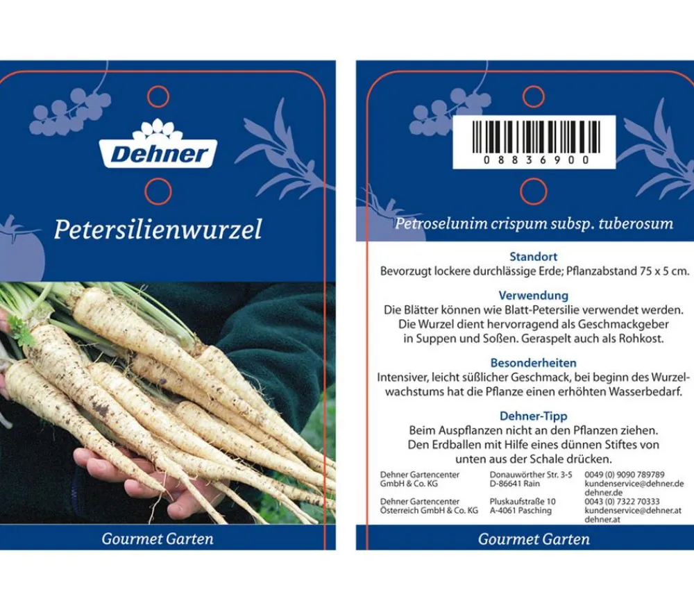 Dehner Gourmet Garten Gartengemüse - Petersilienwurzel