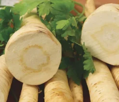 Dehner Gourmet Garten Gartengemüse - Petersilienwurzel
