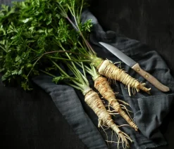 Dehner Gourmet Garten Gartengemüse - Petersilienwurzel