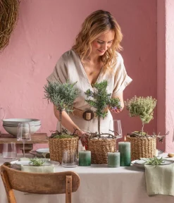 Dehner Gourmet Garten Garten- & Heilkräuter|Gourmet-Kräuter - Rosmarin, Stamm Grün