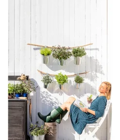 Dehner Gourmet Garten Garten- & Heilkräuter|Gourmet-Kräuter - Salbei Grün