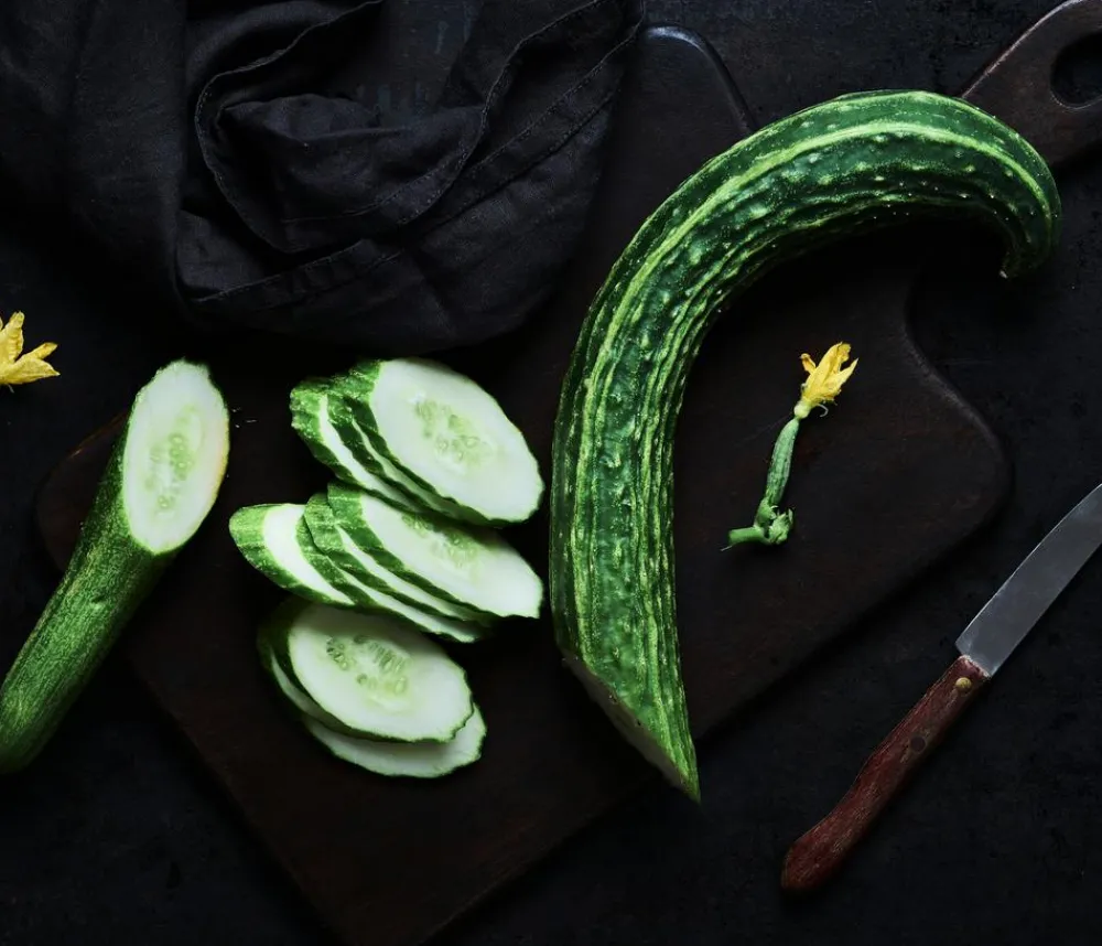 Dehner Gourmet Garten Zucchini- & Gurkenpflanzen - Schlangengurke, veredelt Grün