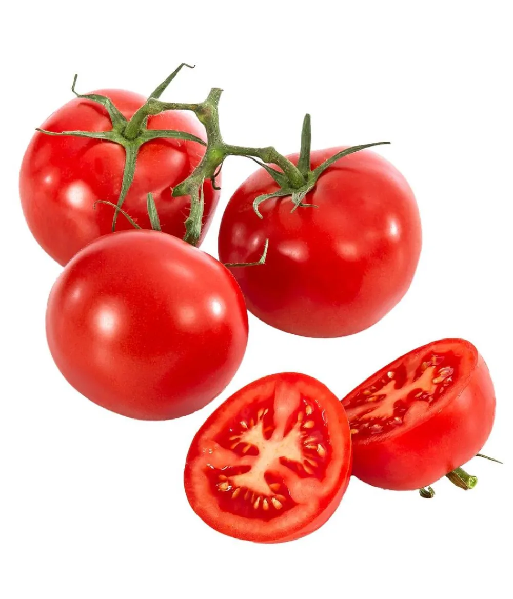 Dehner Gourmet Garten Auberginen- & Tomatenpflanzen > Tomate rund, veredelt