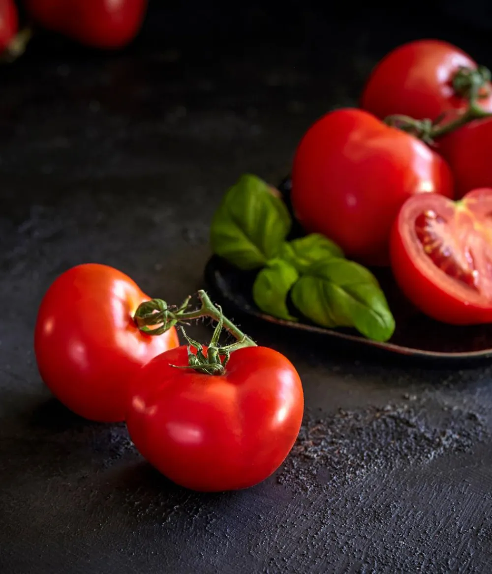 Dehner Gourmet Garten Auberginen- & Tomatenpflanzen > Tomate rund, veredelt