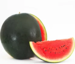 Dehner Gourmet Garten Weinreben & Gartenobst|Melonen- & Kürbispflanzen > Wassermelone, veredelt
