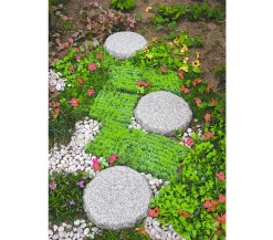 Dehner Mähkanten & Beetkanten|Steine & Terrassenplatten > Granit Bodenplatte, grau/granit, Ø 35 cm