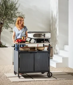 Dehner Grillzubehör - Grillwagen Alvor, ca. B107/H96/T65 cm Dunkelgrau