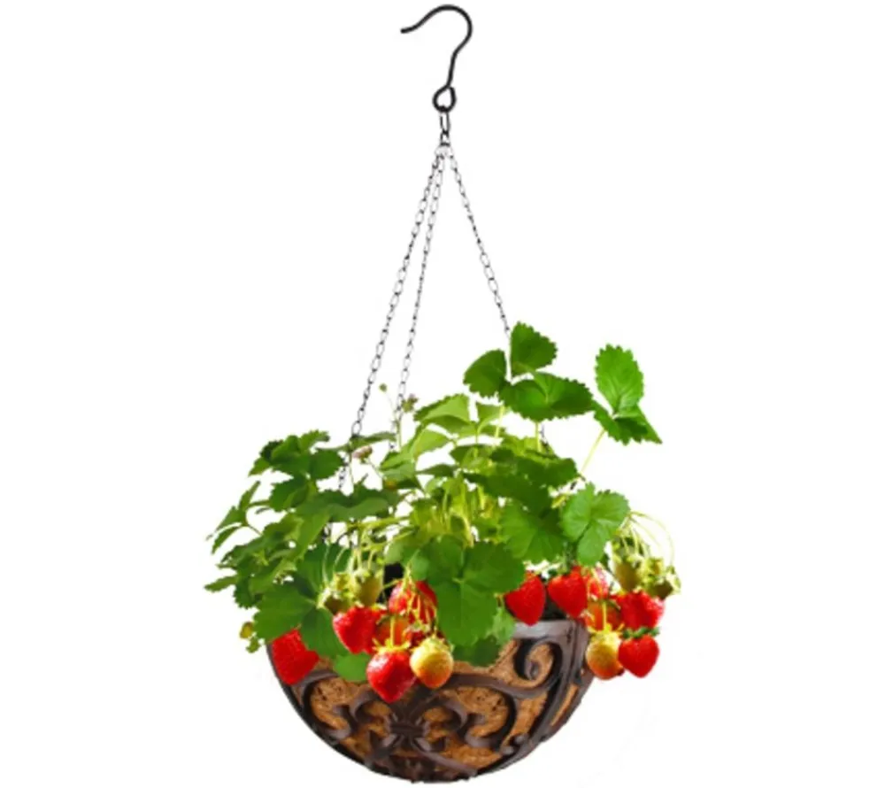 Dehner Blumenampeln & -Schalen > Gusseisen-Hängeampel Katalonien mit Kokoseinlage, rund, rost, ca. Ø30/H15 cm