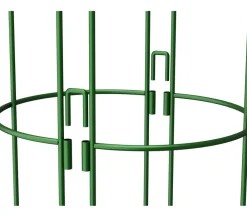 Dehner Halbobelisk Grün Online
