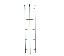 Dehner Halbobelisk Grün Online