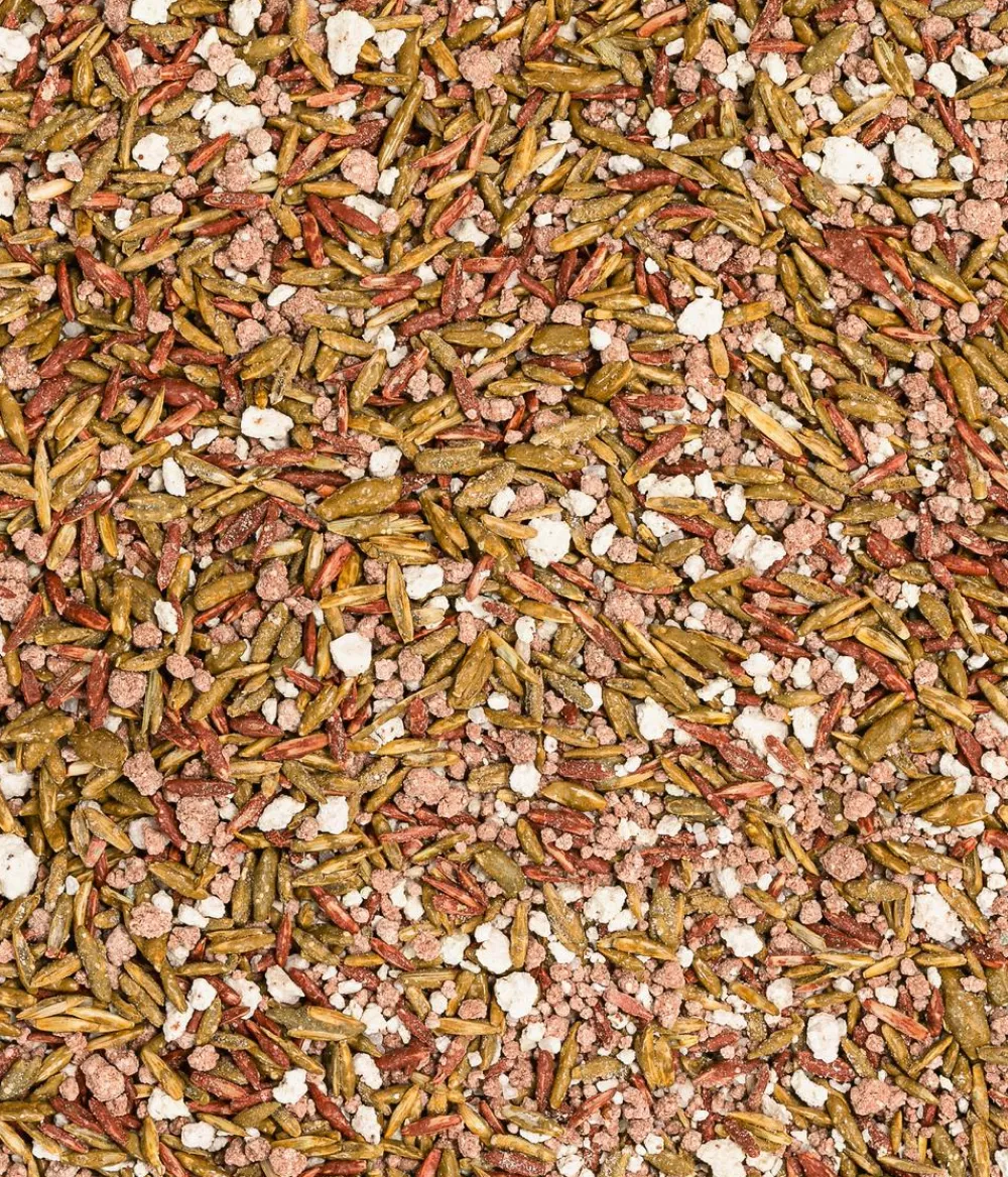 Dehner Herbstrasen-Nachsaat, 750 g Online