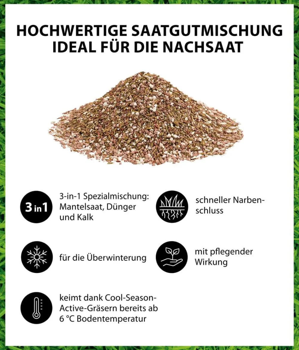Dehner Herbstrasen-Nachsaat, 750 g Online