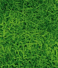 Dehner Herbstrasen-Nachsaat, 750 g Online